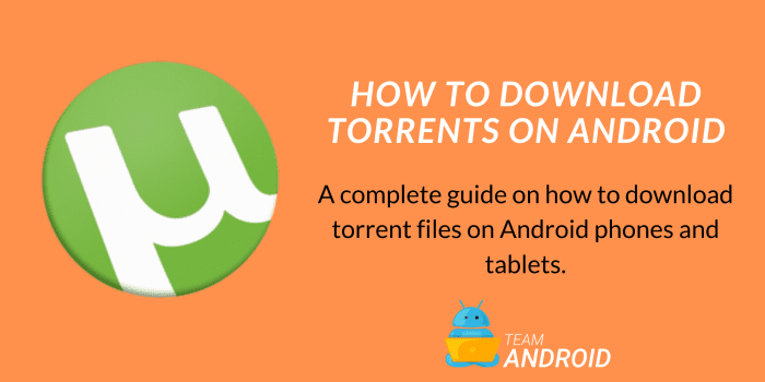 Download Torrents on Android