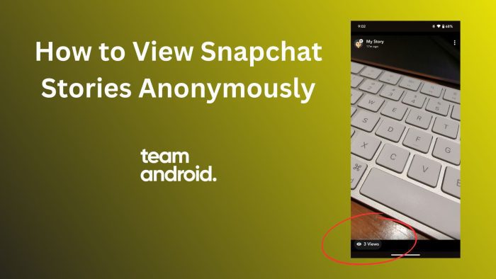 Snapchat Story Viewer: How to View Stories Online Anonymously