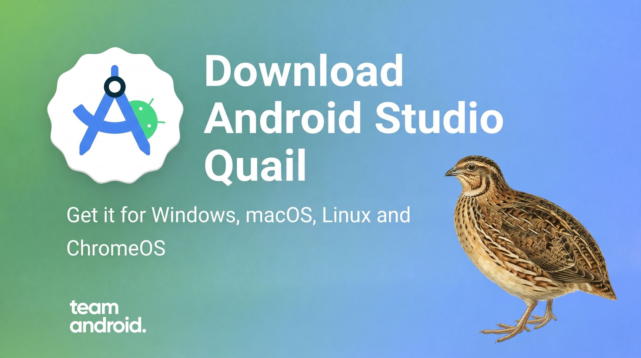 Download Android Studio Quail 1 Canary 4 for Windows, Mac, Linux and ...